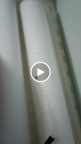 Customer video review of CRISTAL 0,40 FLEXIVEL COR SUPER TRANSPARENTE