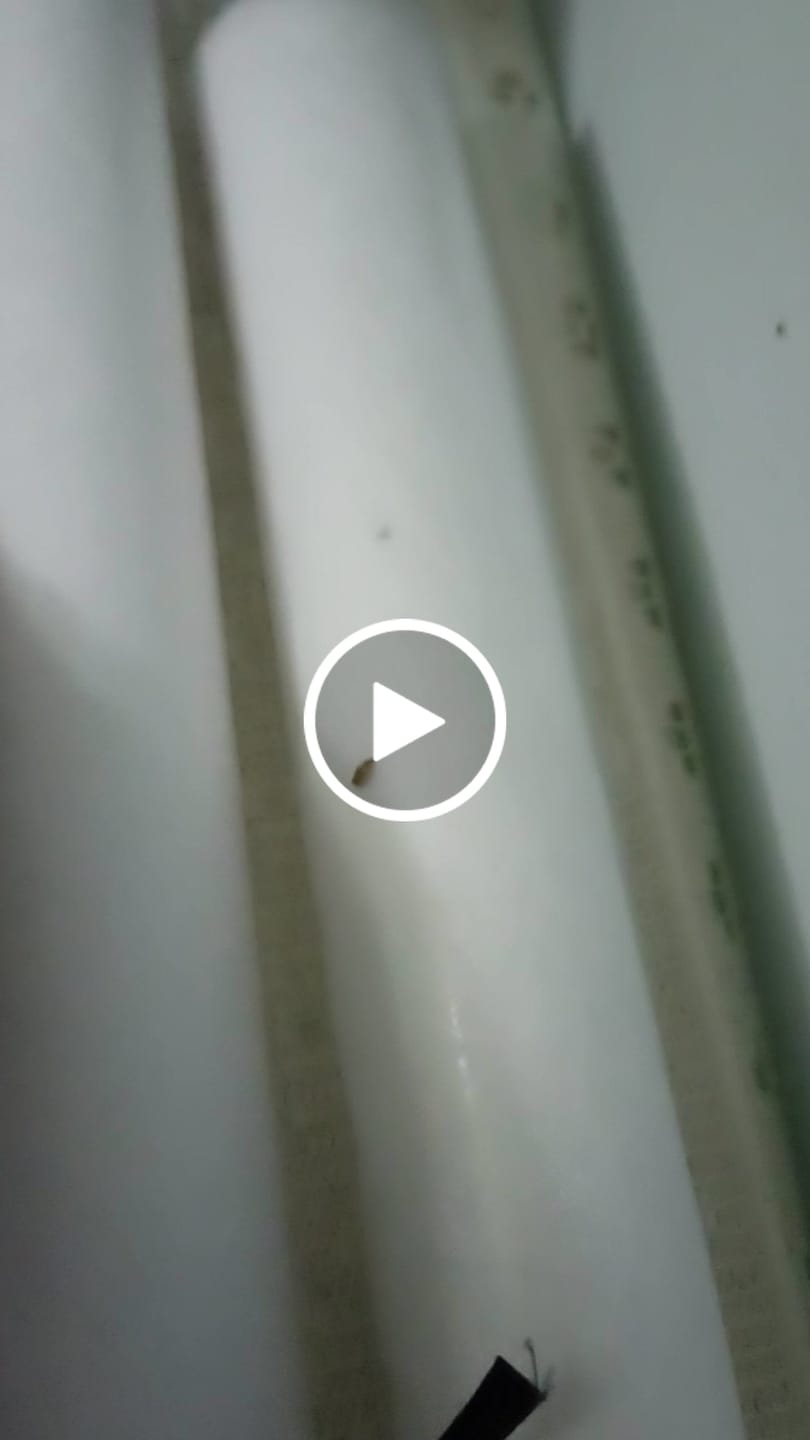 Customer video review of CRISTAL 0,40 FLEXIVEL COR SUPER TRANSPARENTE