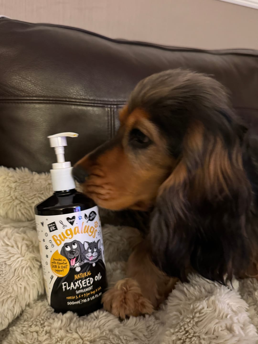Customer photo review of Natural Flaxseed Oil Supplement for Dogs & Cats