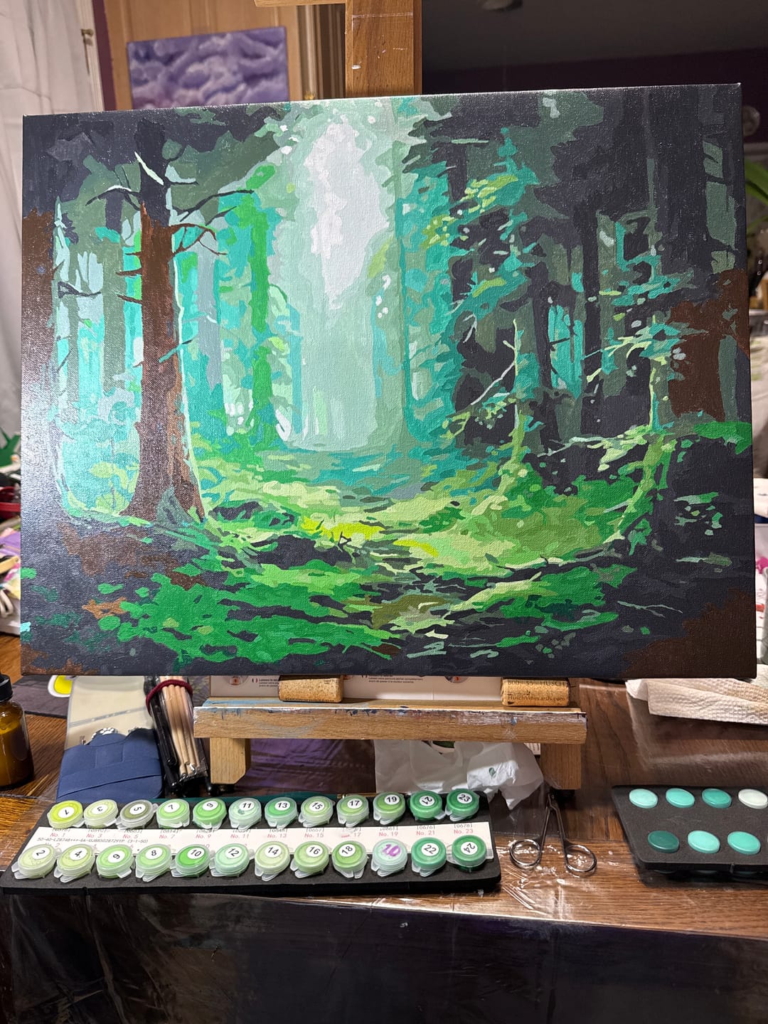 Customer photo review of Misty Forest
