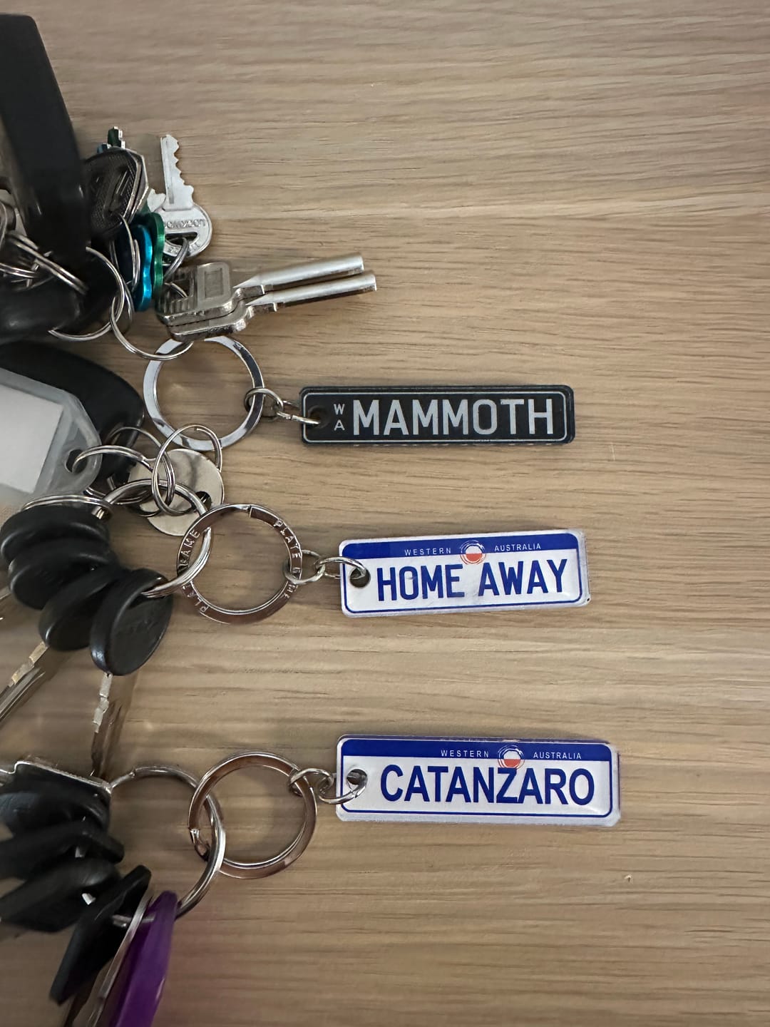 Customer photo review of WA General Issue Licence Plate Custom Premium Keychain