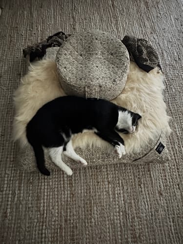 Customer photo review of Pure Riyal - Meditation comfort bundle