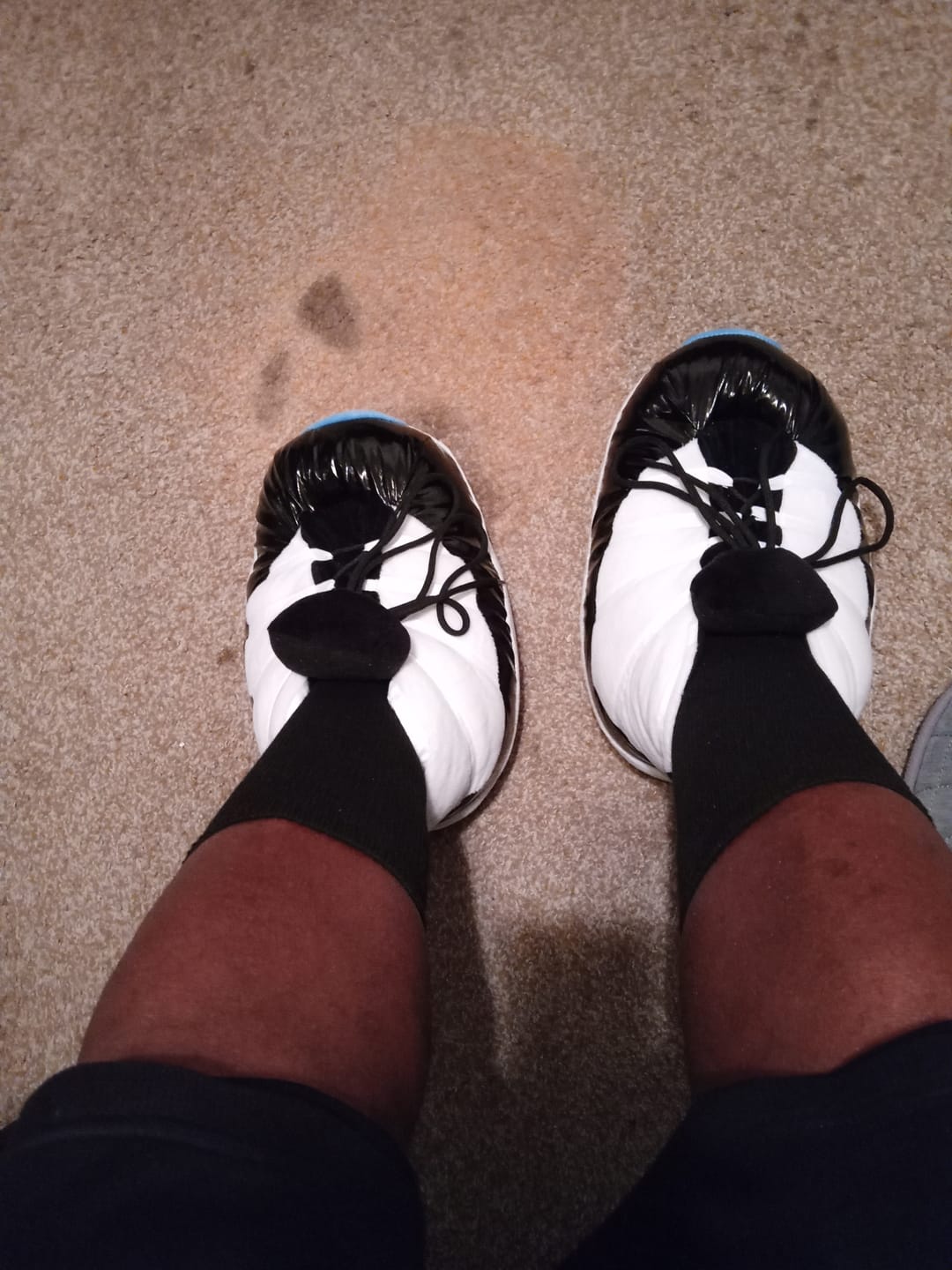 Customer photo review of CACTUS 6