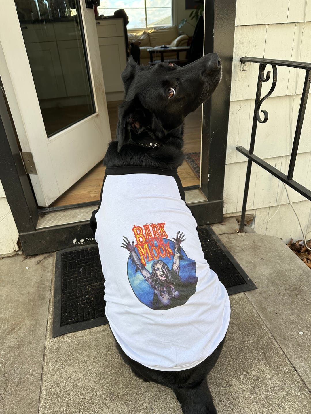 Customer photo review of Bark At The Moon Raglan Dog Tee
