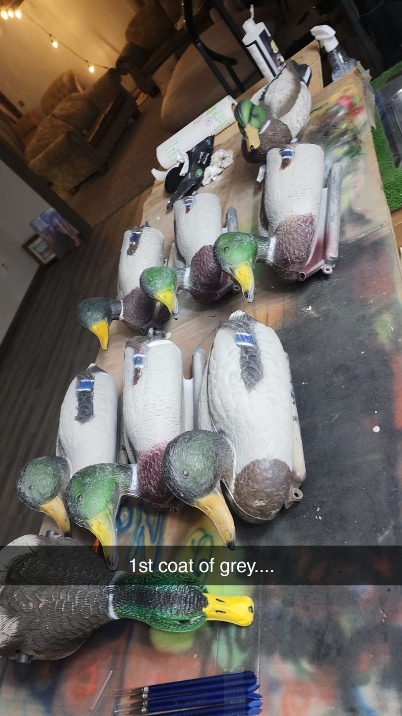 Customer photo review of Decoy Paint Kit - Large