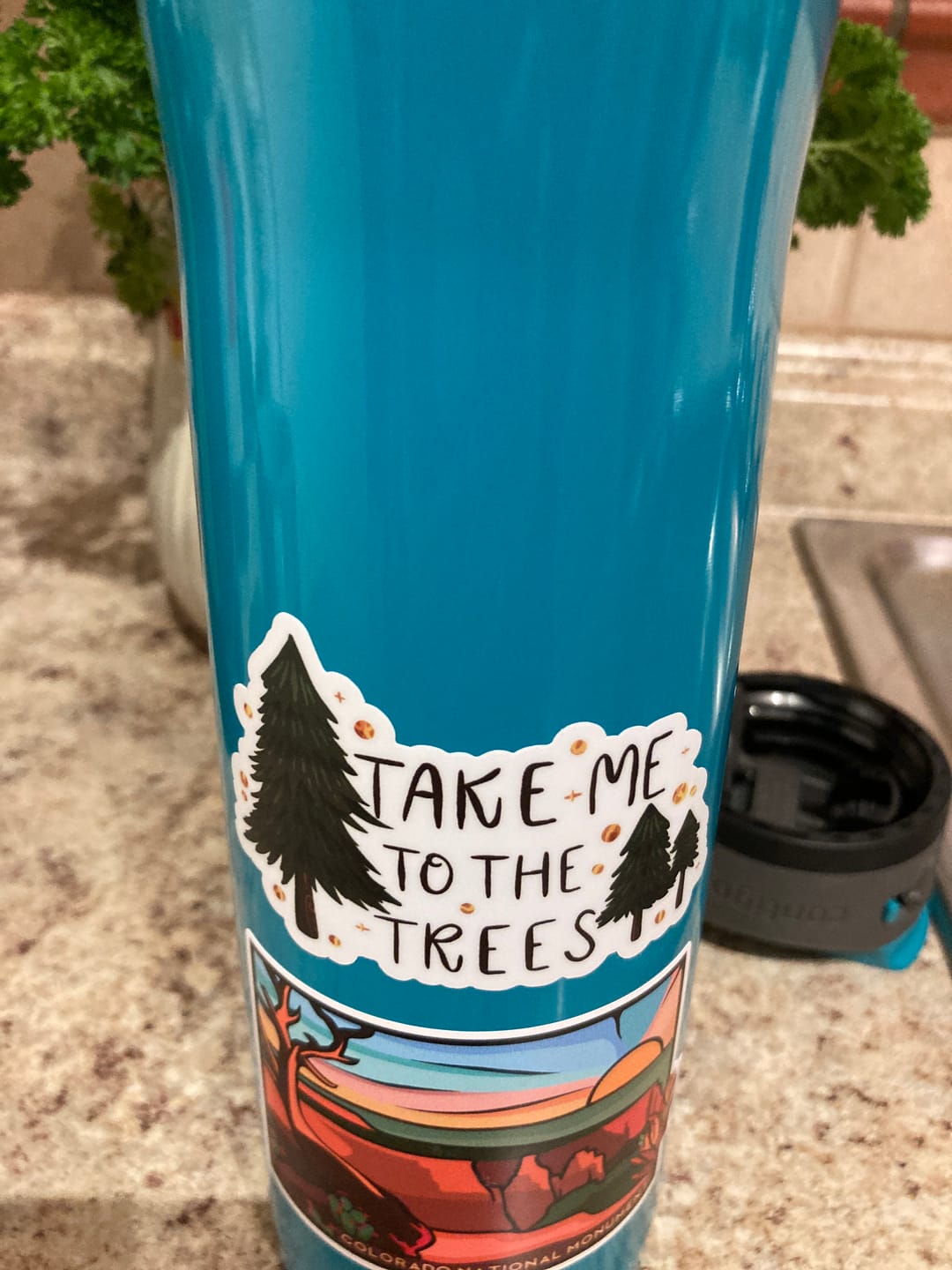 Customer photo review of But Did You Die? Sarcasm Sticker