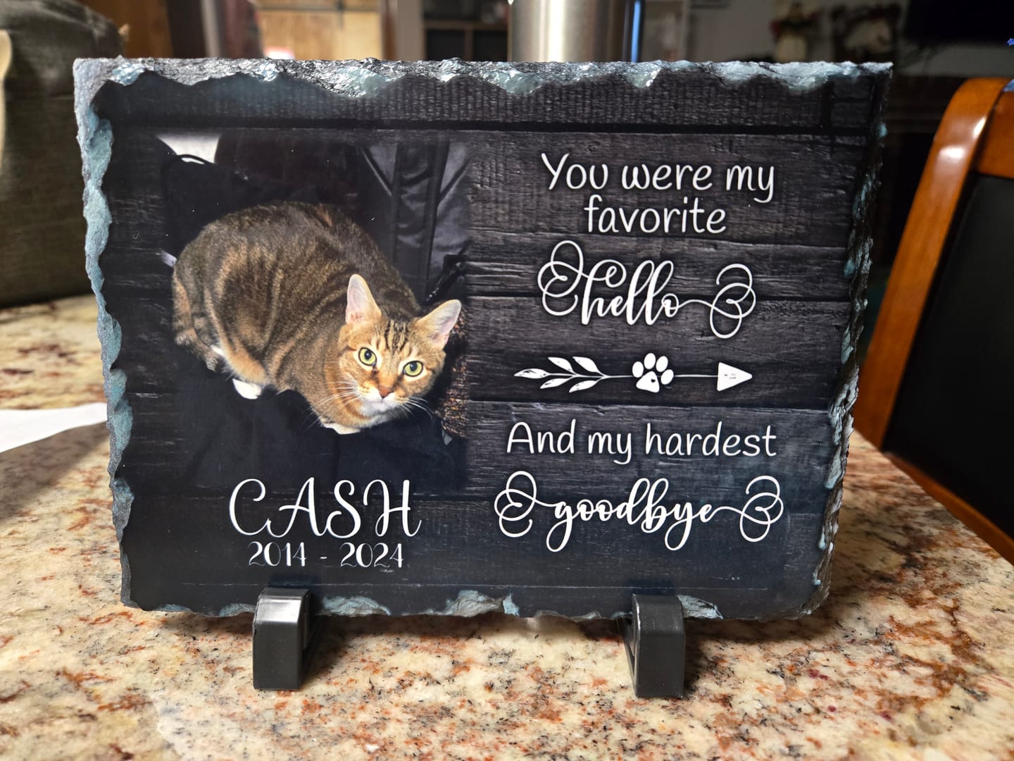 Customer photo review of Unique sympathy gift Personalized Cat Memorial Plaque You Were My Favorite Hello pet loss keepsake
