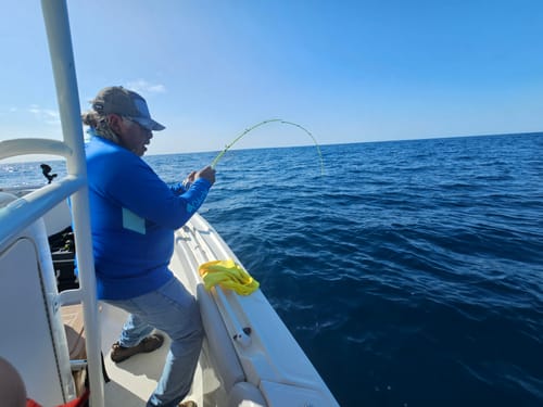 Customer photo review of GOOFISH® Solid Nano 6'6" (195cm) Best Slow Pitch Jigging Fuji Saltwater Jig Pole Light Micro Shore Jigging Rod Offshore Jigging Fishing Rods