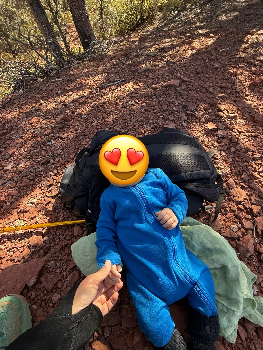Customer photo review of baby adventure zippy