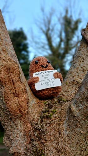 Customer photo review of PATATE POSITIVE