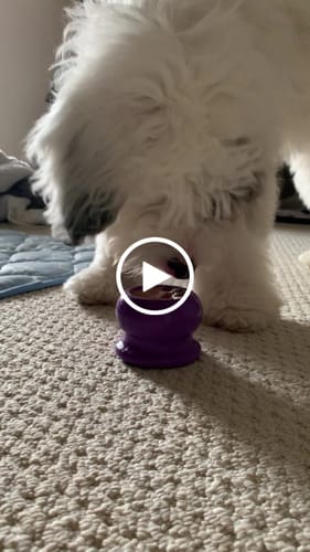 Customer video review of Bone Refills Dog Meat 90 Grams (4 Pack)®