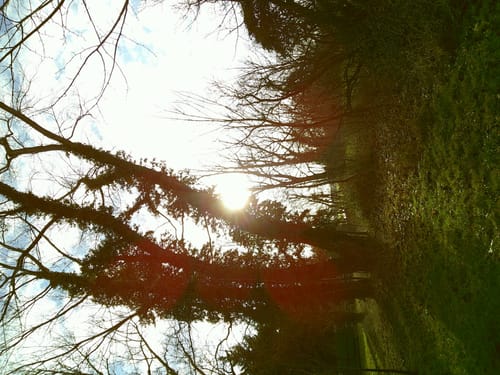 Customer photo review of NUVINT - Digitalkamera