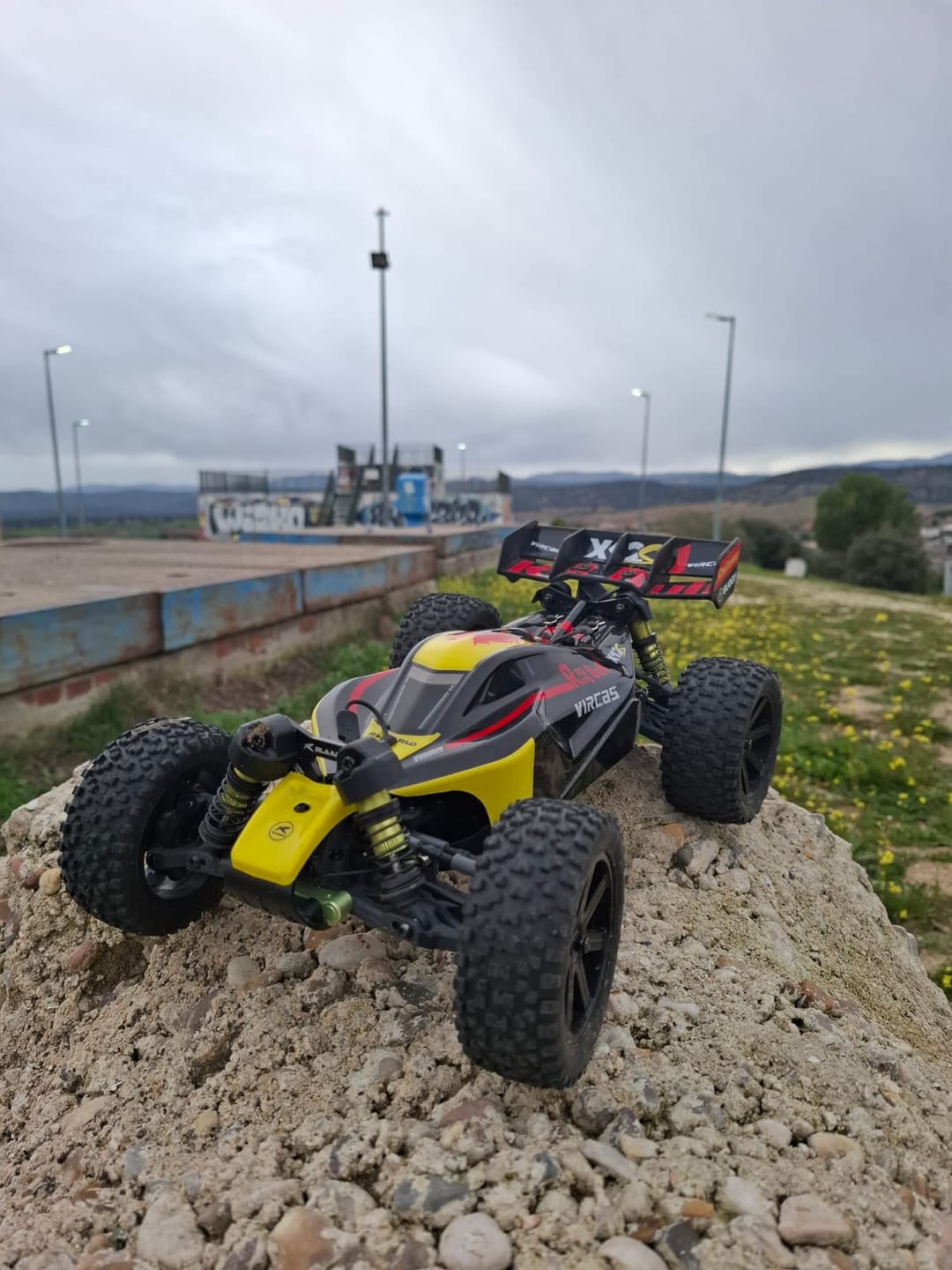 Customer photo review of 1/12 Metal Brushless 4WD RTR Buggy,X12S
