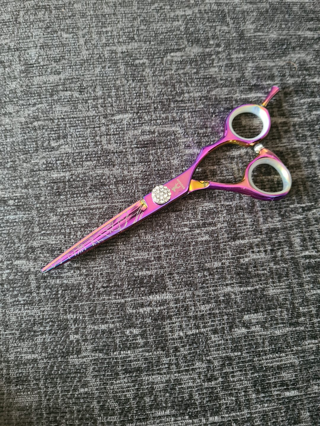 Customer photo review of ROSA
