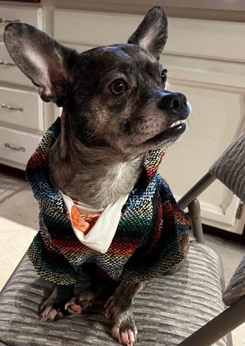 Customer photo review of Playa Poncho - Surprise Color