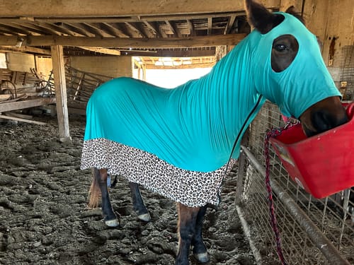 Customer photo review of LEOPARD & MINT FULL BODY LYCRA EQUINE BODYSUIT