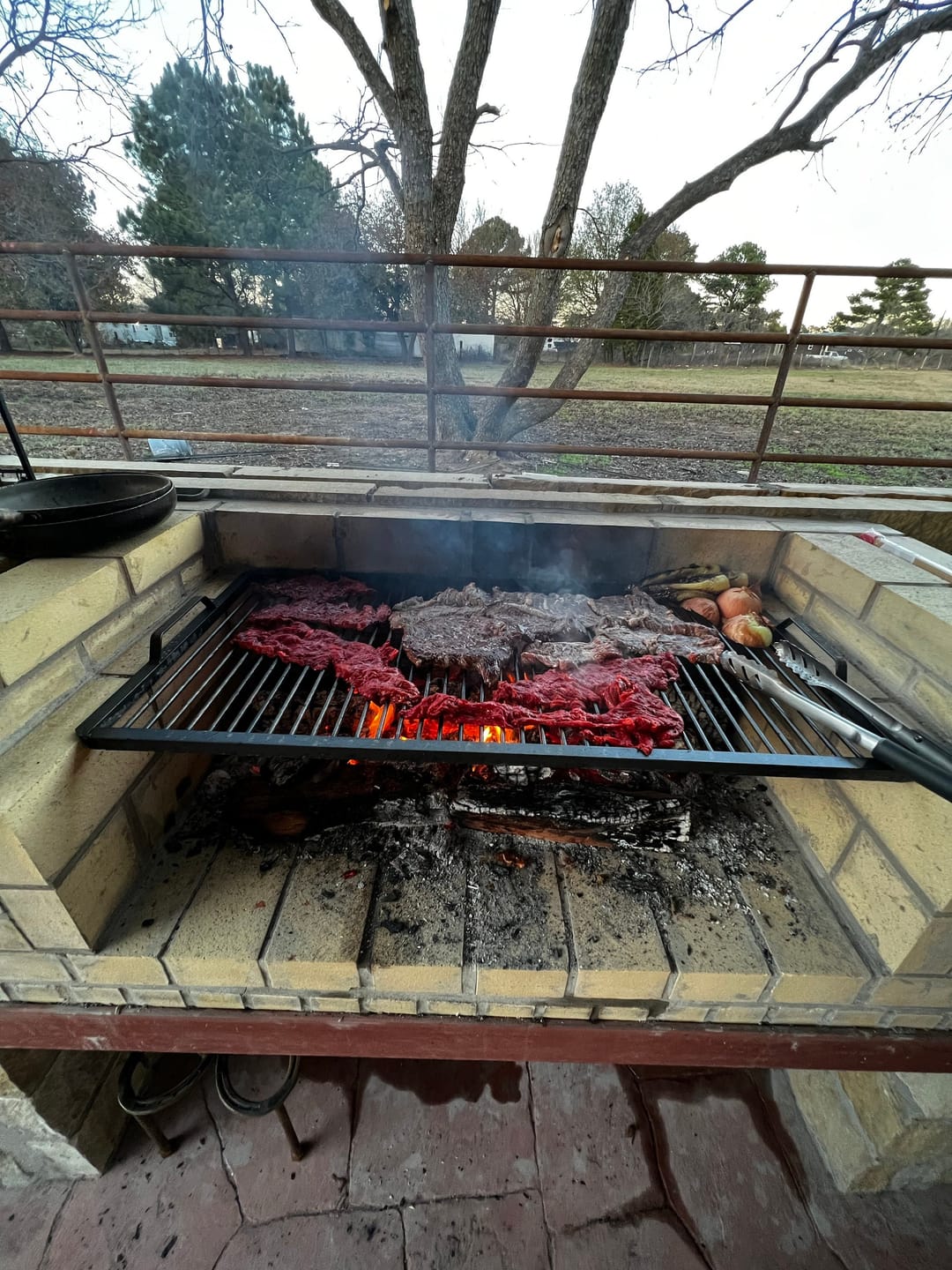 Customer photo review of Argentine Iron Grill