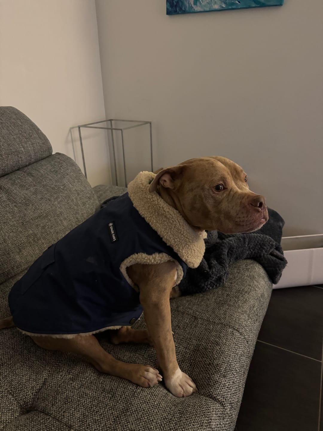 Customer photo review of Workdog Insulated Utility Jacket - Navy