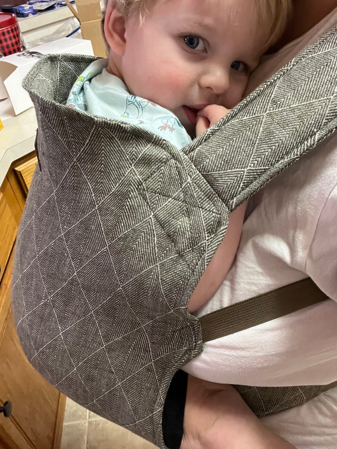 Customer photo review of Happy Toddler Carrier