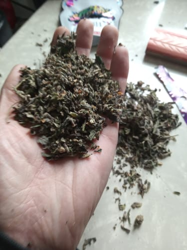 Customer photo review of Shipping Protection by Route