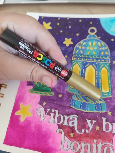 Customer photo review of Uni Posca PC-1M - Marcador Extra Finos Clásico (Japonés)