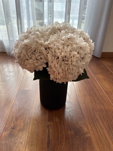 Fotorecensie van een klant over Grote Zijden Hortensia - Wit