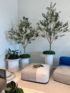 Customer photo review of Loob