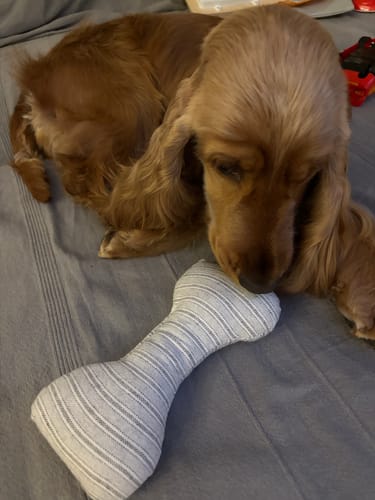 Customer photo review of Gioco Osso