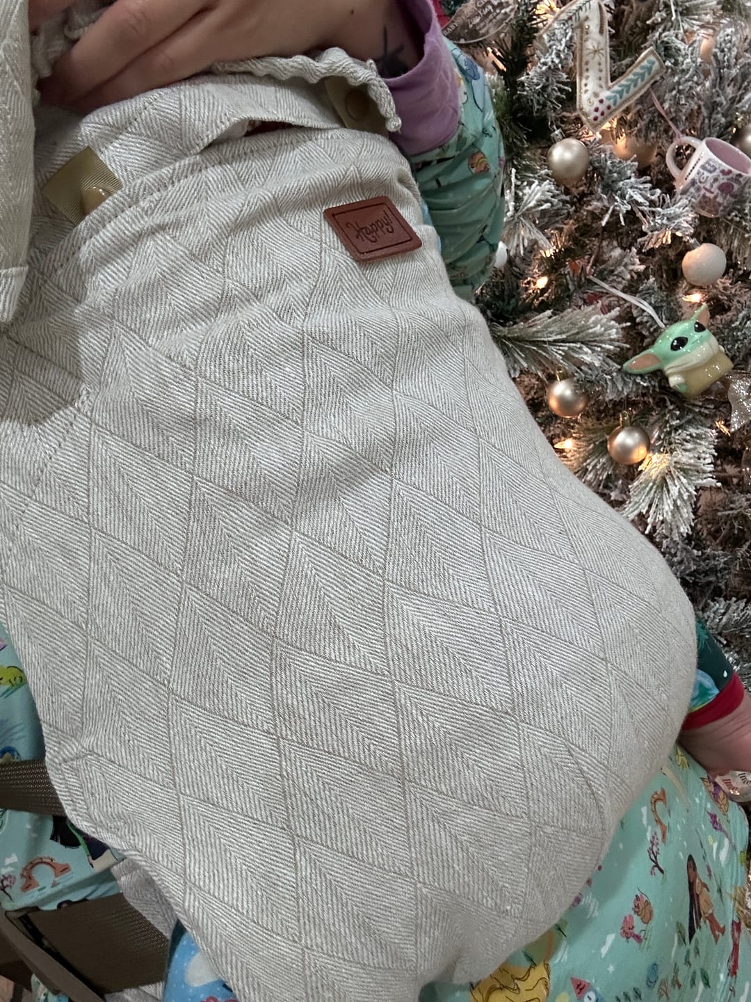 Customer photo review of Happy Toddler Carrier