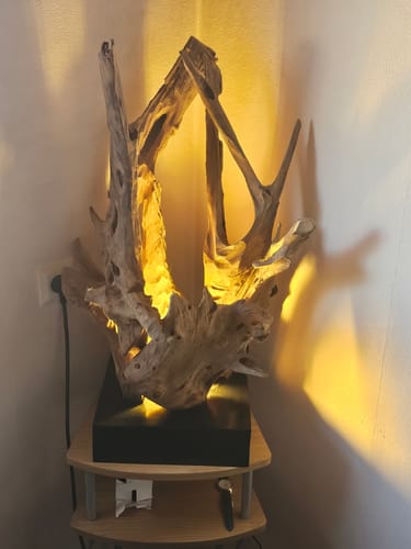 Customer photo review of Treibholz Tischlampe KRYTON Höhe 80 cm