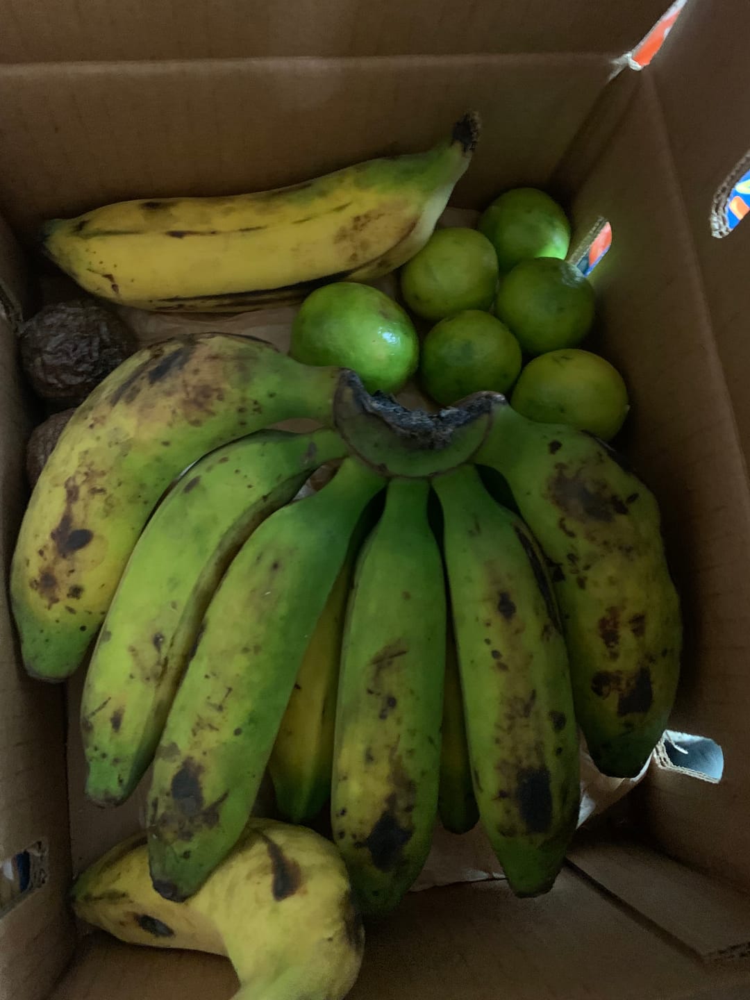 Customer photo review of Leftovers Box