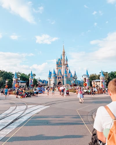 Customer photo review of Dreamland Preset Collection