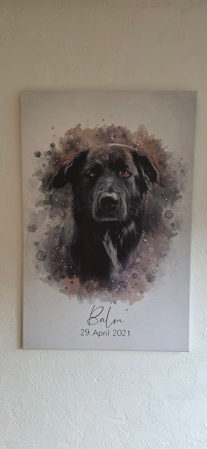 Customer photo review of Dein Hund als Aquarell Tierportrait | Geschenk für Hundebesitzer