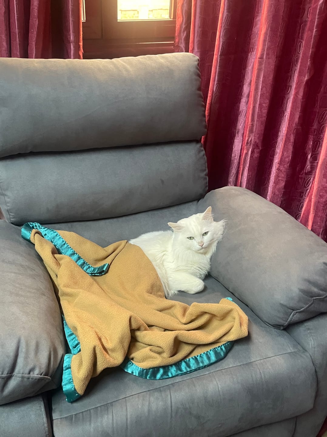 Customer photo review of Razy- Lazy Boy Chair