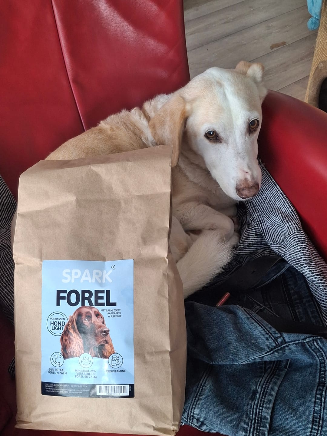 Customer photo review of Senior - Light - Forel met Zalm, Zoete Aardappel & Asperge
