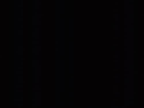 Customer photo review of Unique Keychains