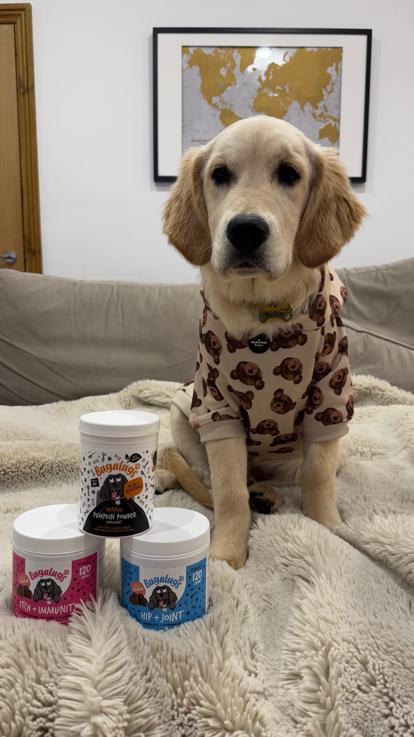 Customer photo review of Itch & Immunity Supplement Chews for Dogs