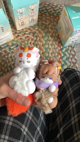 Customer photo review of Fabulous Beasts Palm Have Spirit Series Plush Blind Box