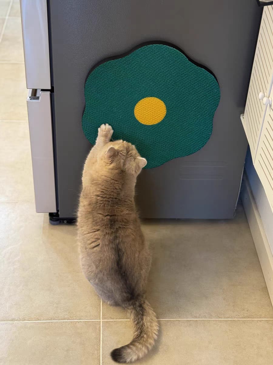 Customer photo review of Flower-Shaped, Connectable, Non-Shedding Plant Pulp Cat Scratching Pad