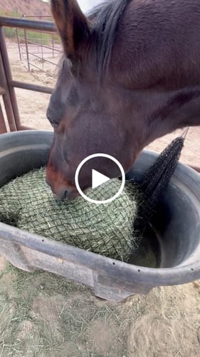 Customer video review of Hay Chix® Mini Repair Spool