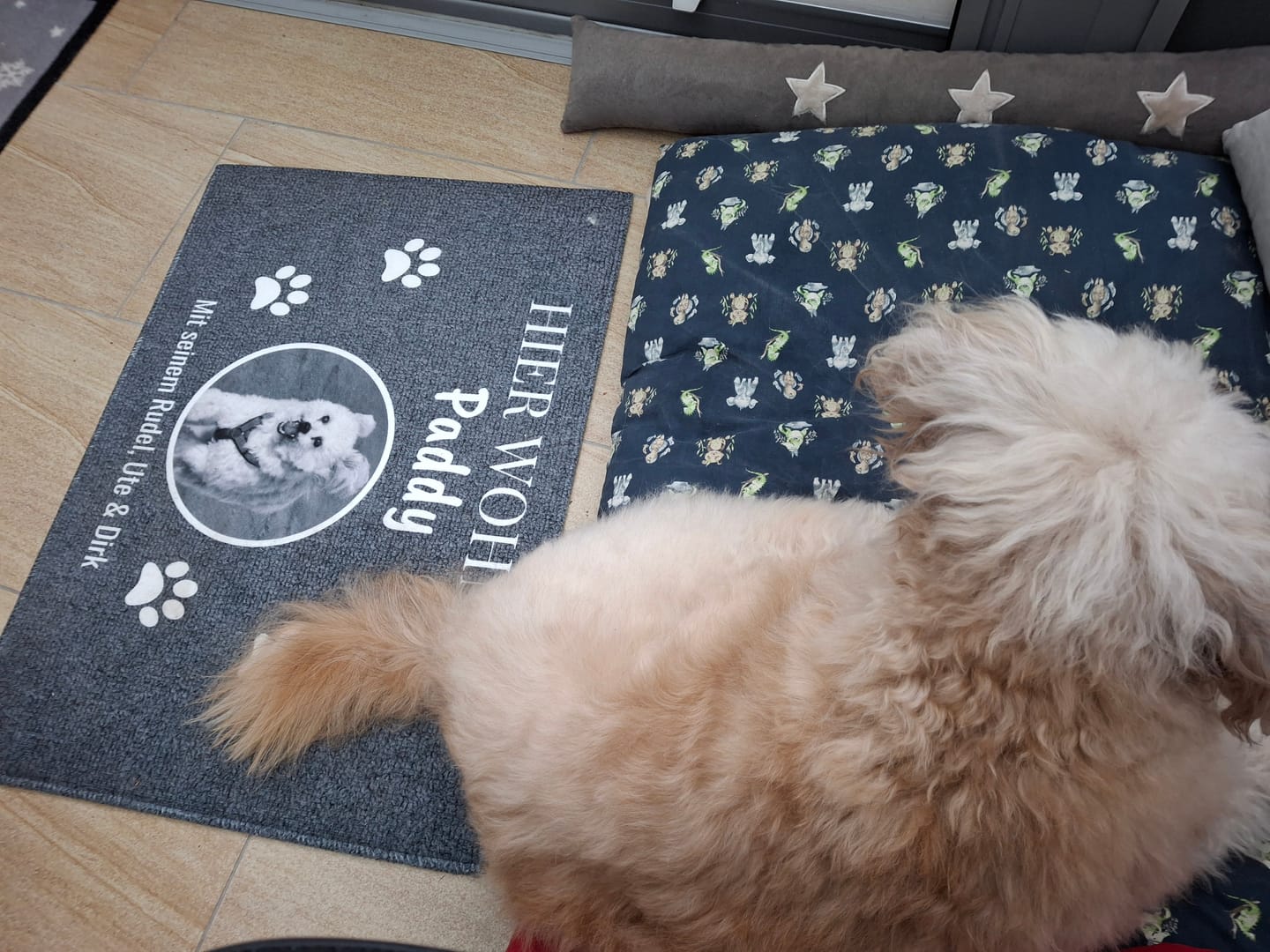 Customer photo review of Hier wohnt - Individuelle Haustier Fußmatte