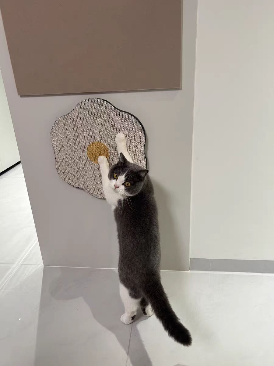 Customer photo review of Flower-Shaped, Connectable, Non-Shedding Plant Pulp Cat Scratching Pad