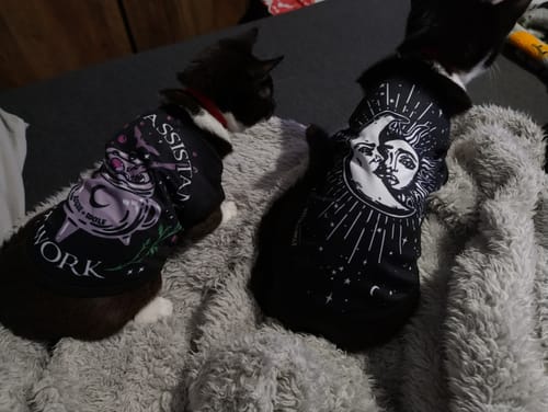 Customer photo review of Astral Pet Vest - Dog or Cat