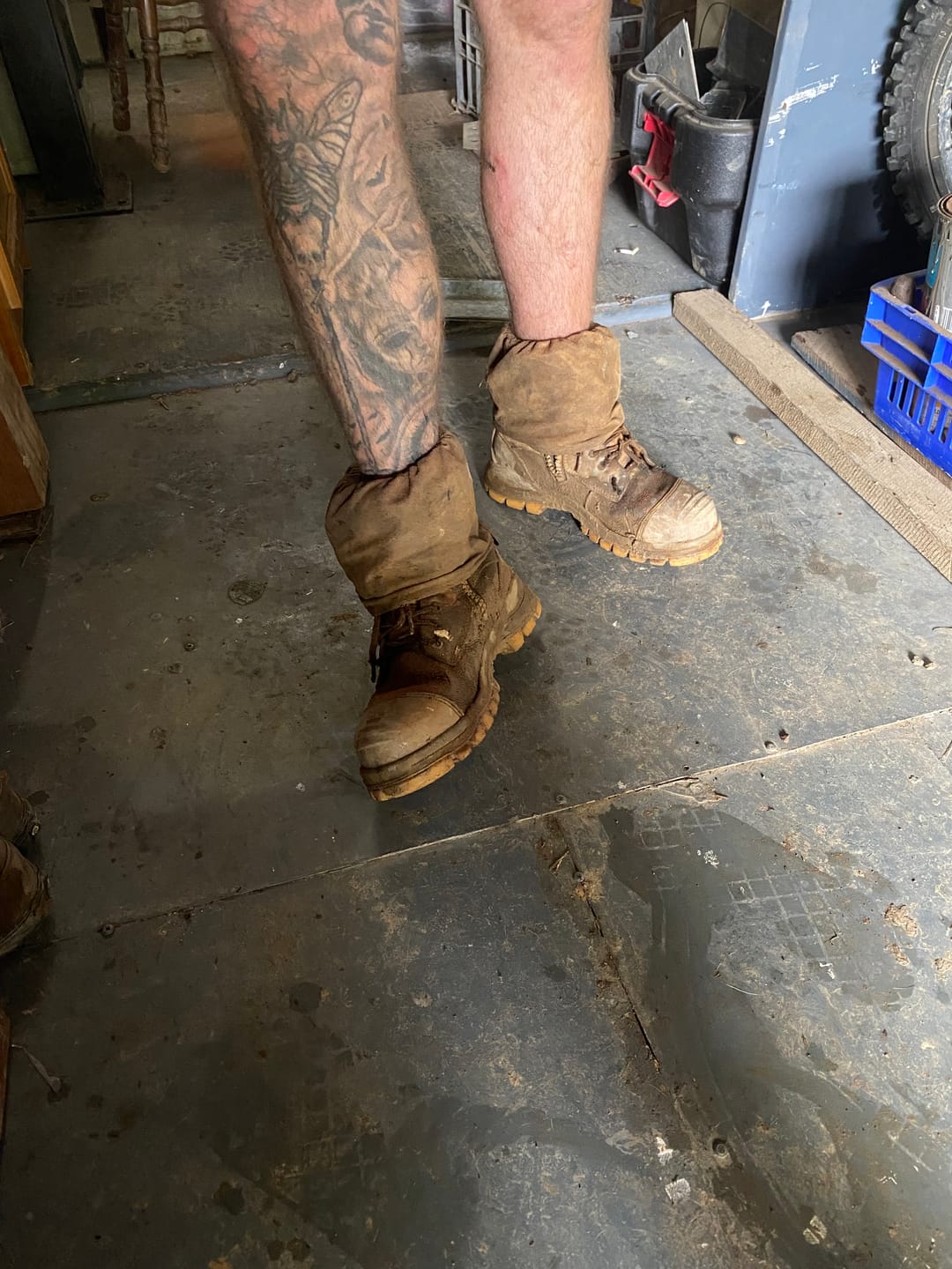 Customer photo review of Sock Savers Tan