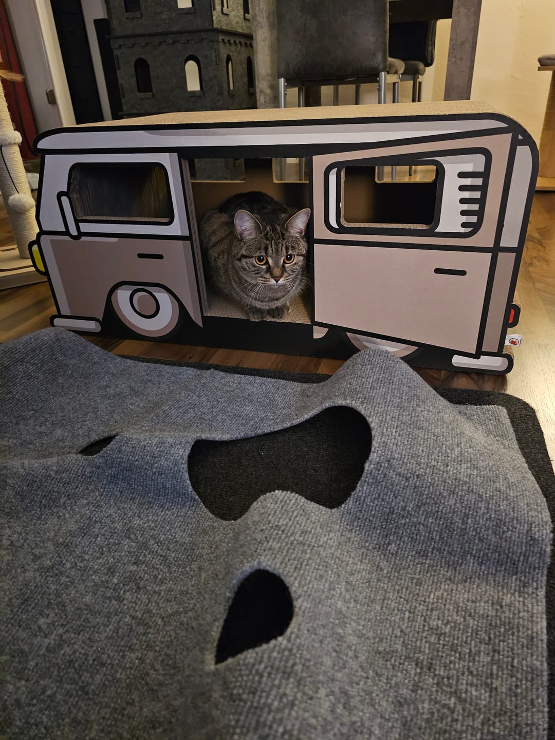 Customer photo review of KratzCamper XXL