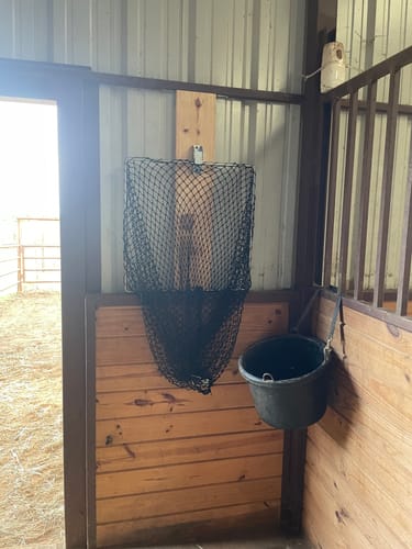 Customer photo review of Hay Chix® Free Up Feeder