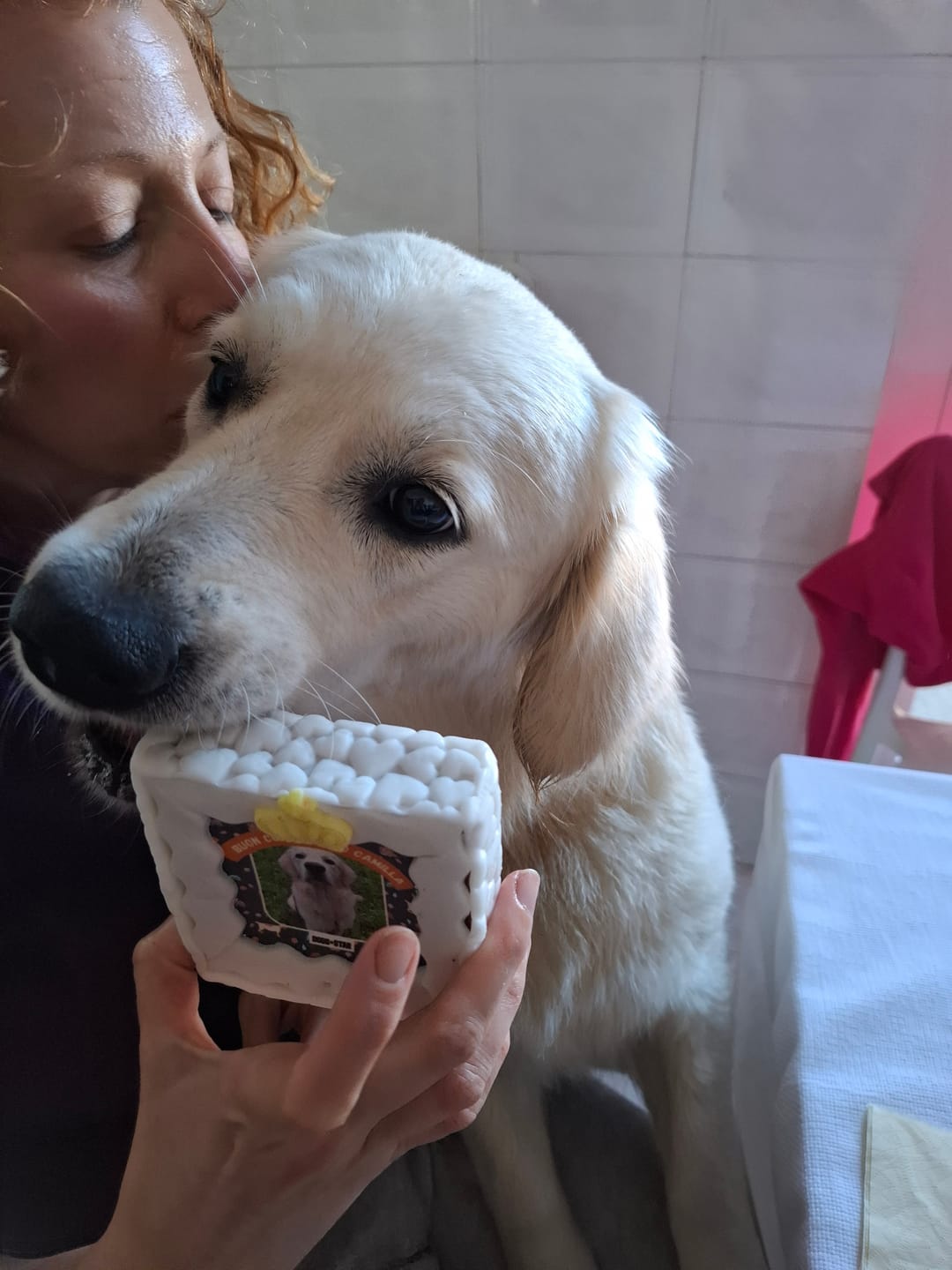 Customer photo review of Fotogenica 2 Torta Per Cani con Fotografia e Messaggio
