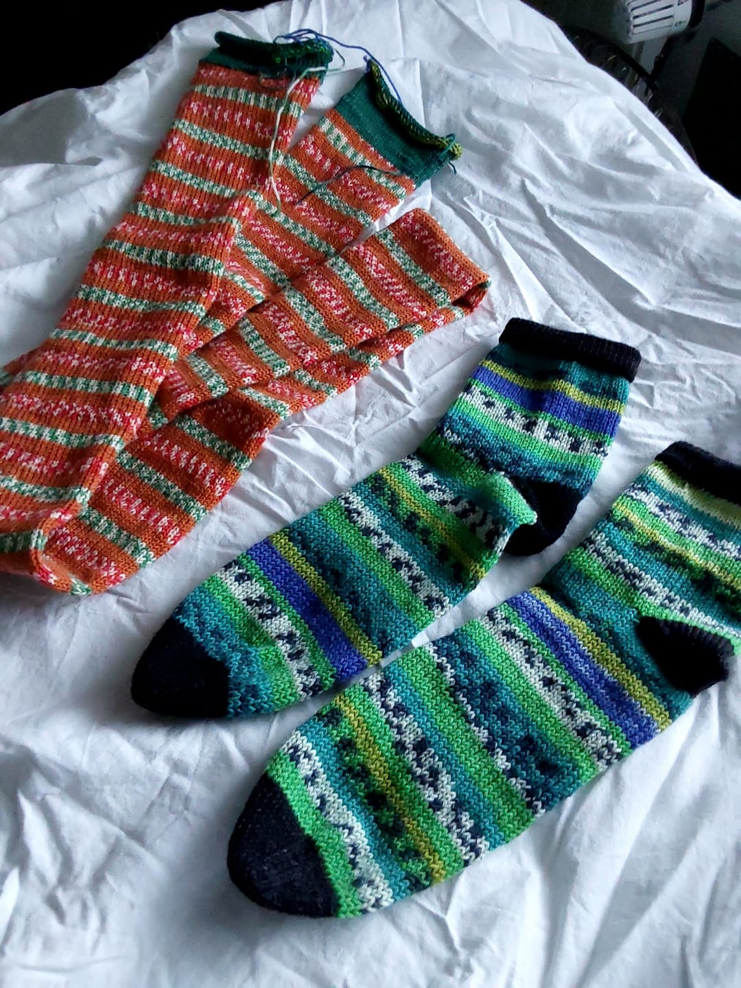 Customer photo review of CSM Owly