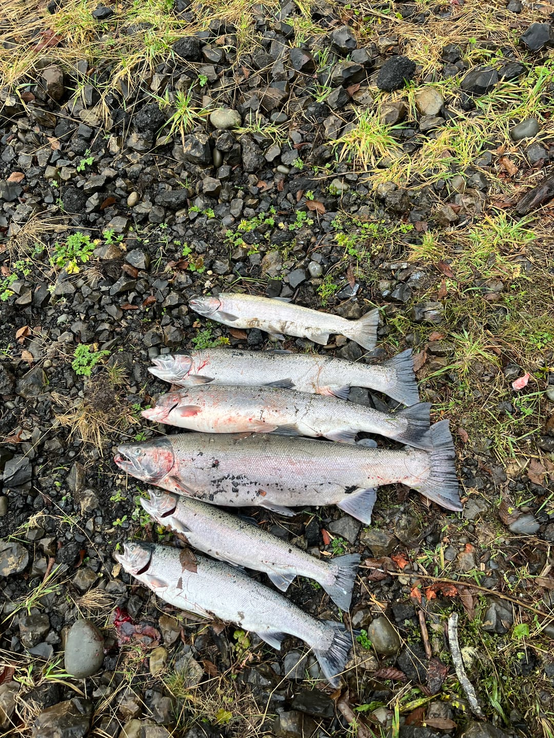 Customer photo review of Bead Hooks - Light