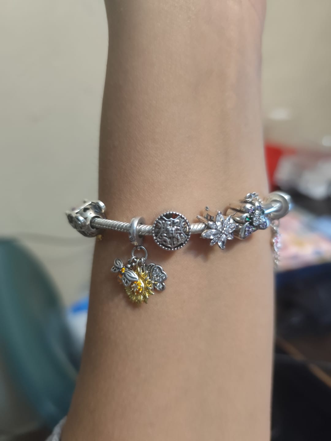 Customer photo review of Charm Castillo Hogwarts "Mundo Magico"
